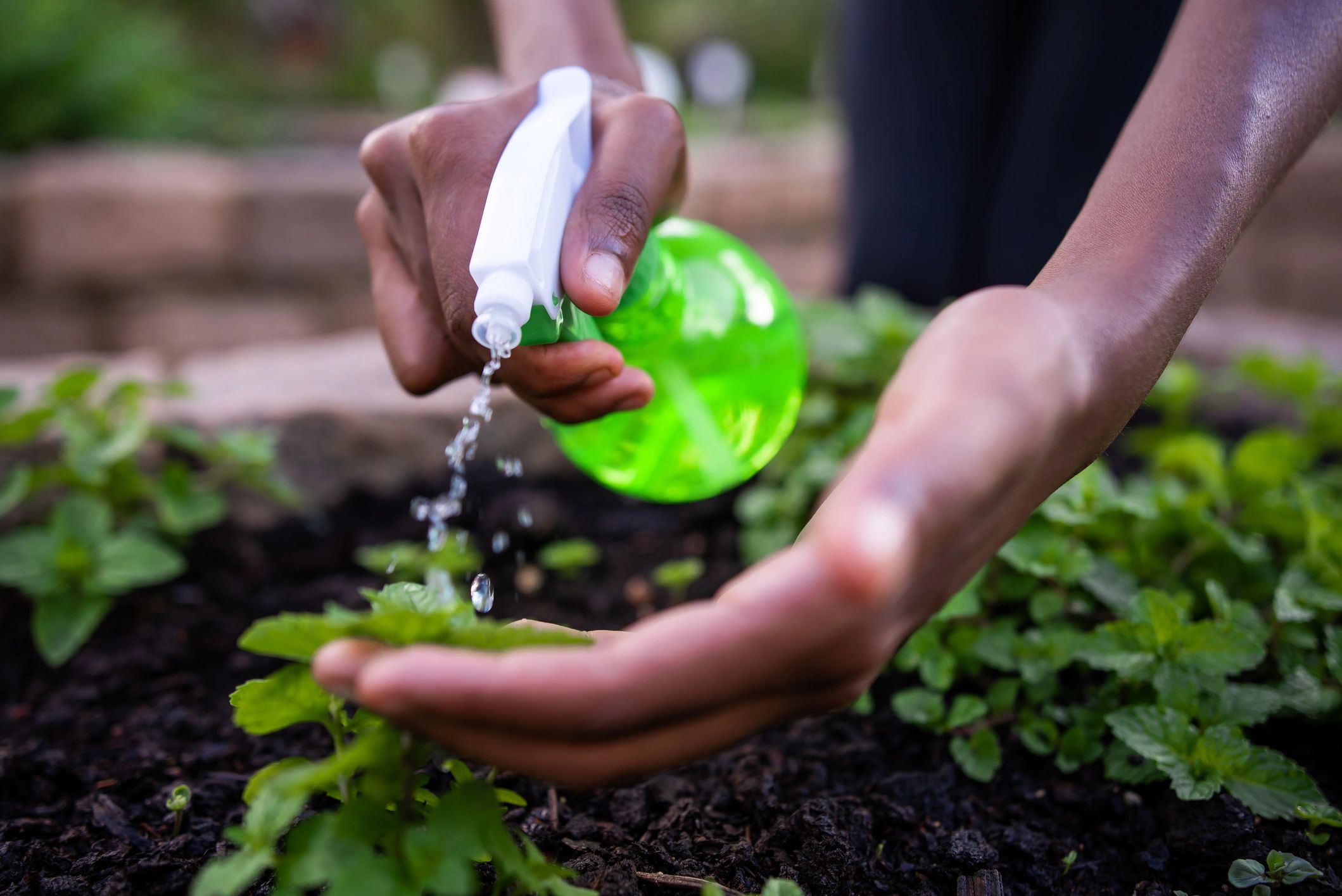 eco-friendly pest solution