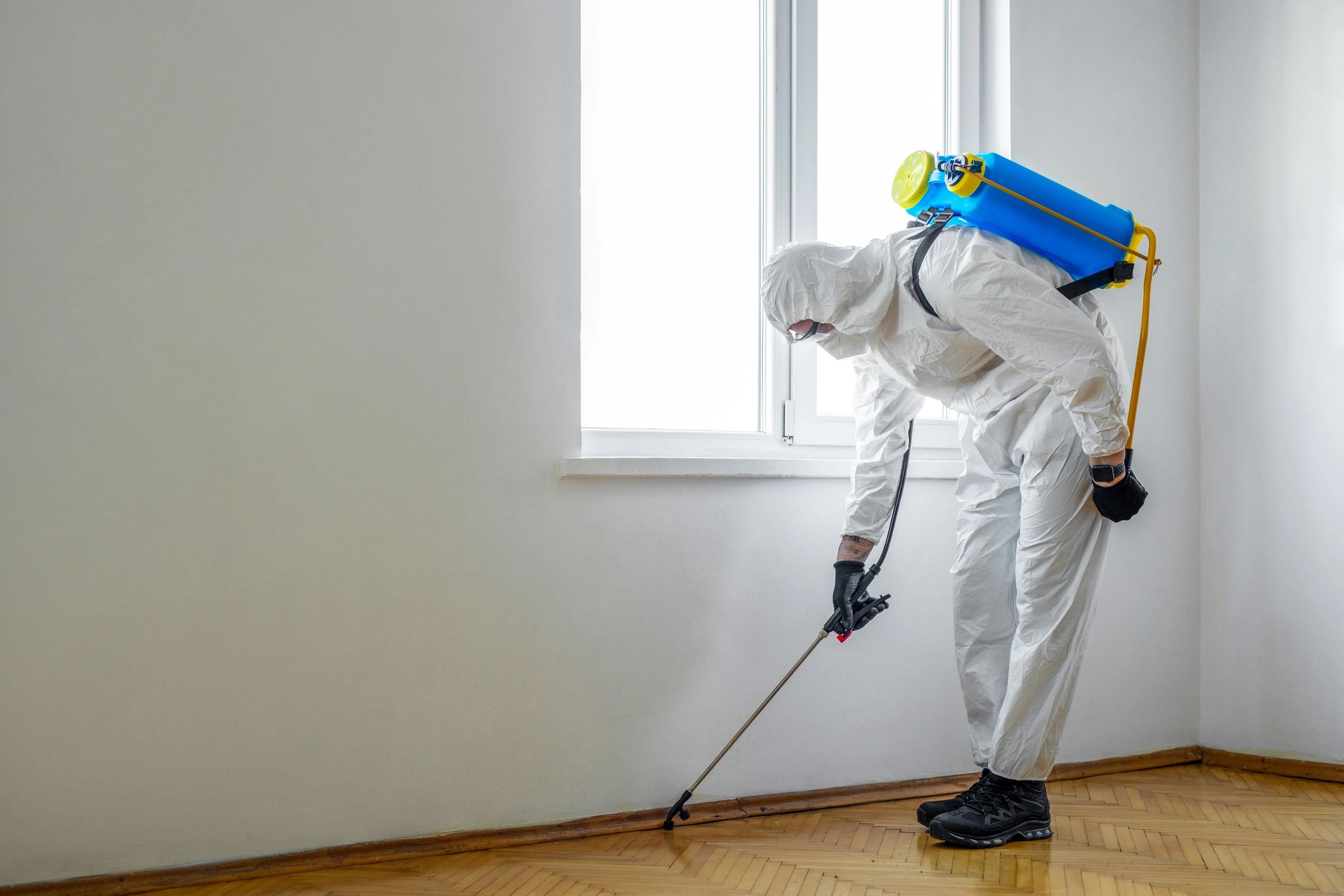 pest control service for business office