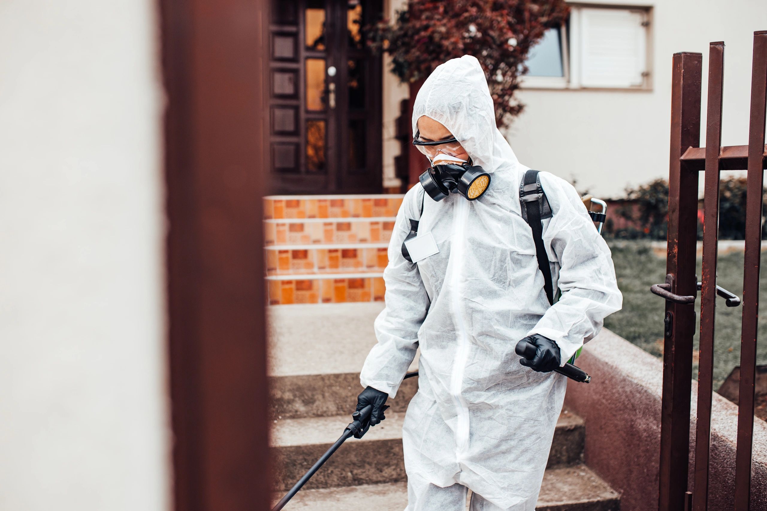 pest control professional in action