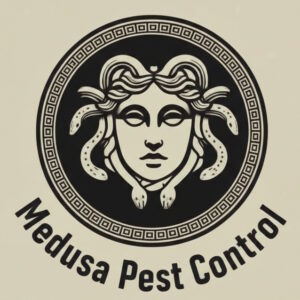 Medusa Pest